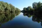 Danube Delta small channels